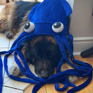 Meet your Posher, Devam